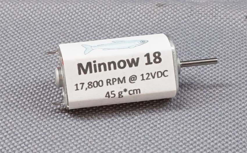 minnow2