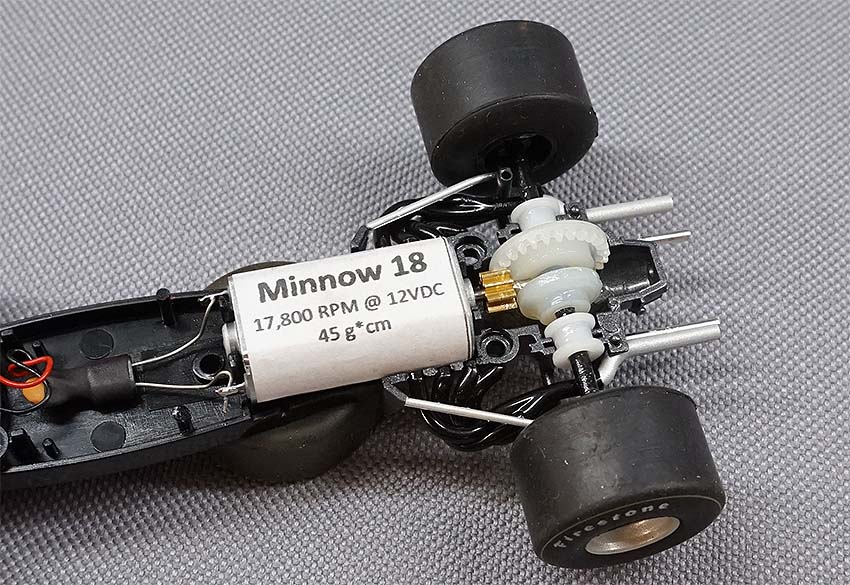 minnow3